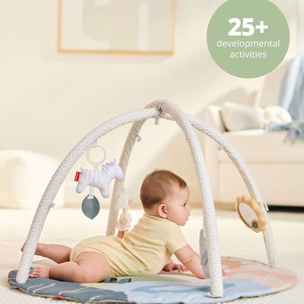 Skip Hop Savannah Sunset Activity Play Gym.