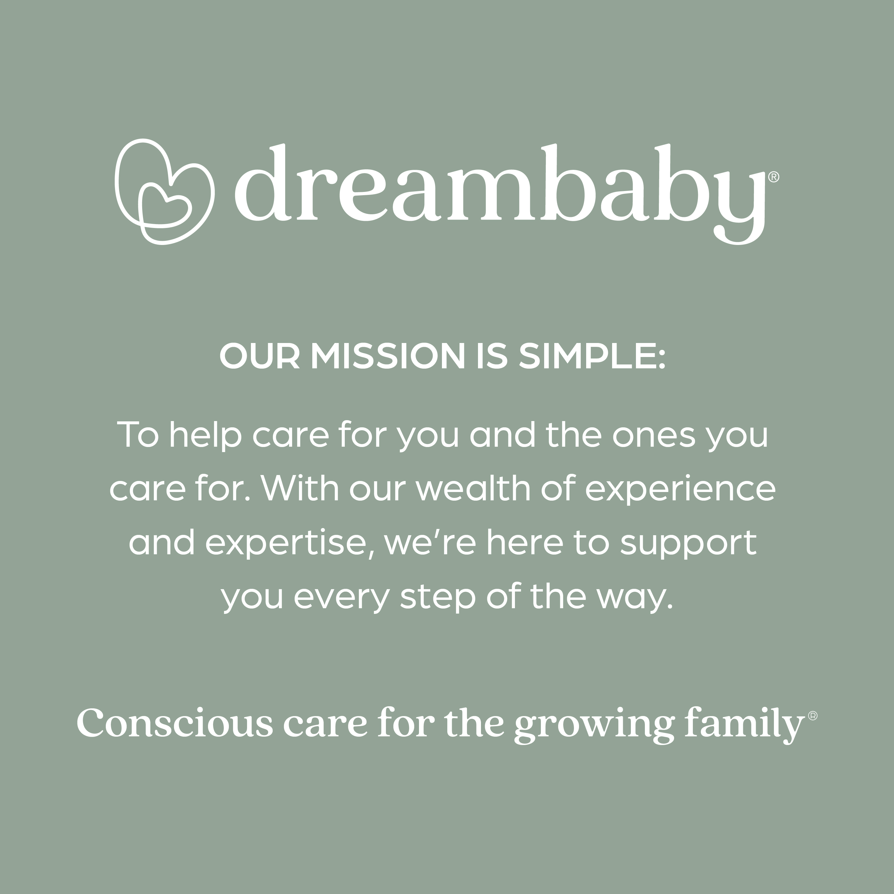 Dreambaby Grab 'N Go Booster Seat w/ Storage.
