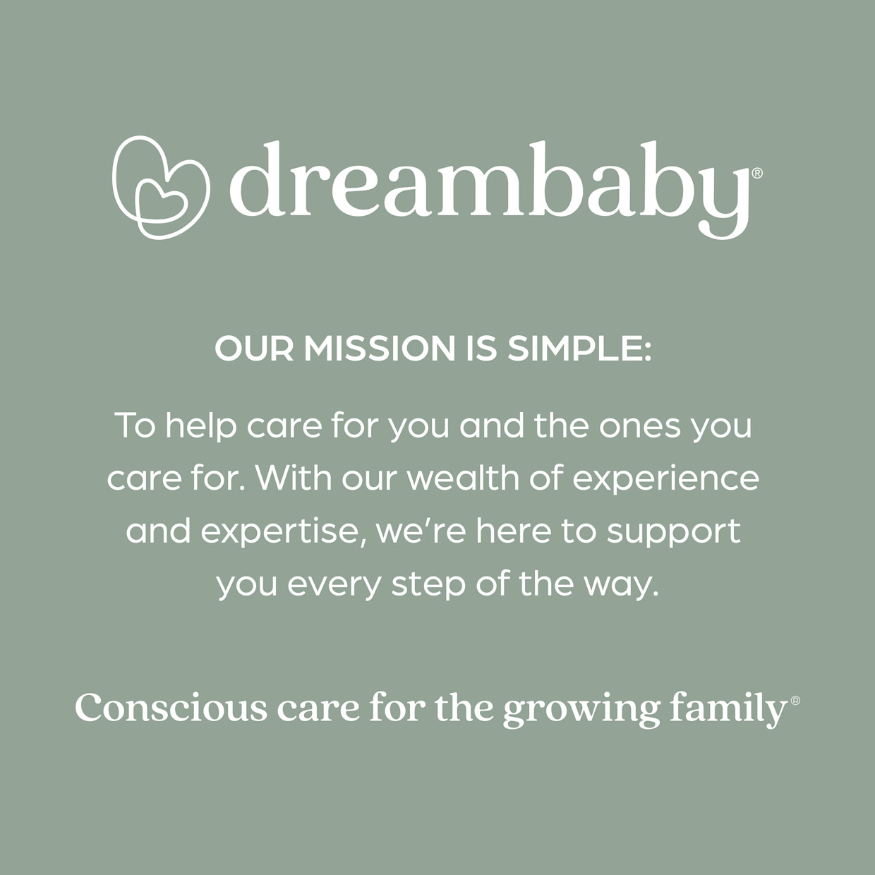 Dreambaby Grab 'N Go Booster Seat w/ Storage.