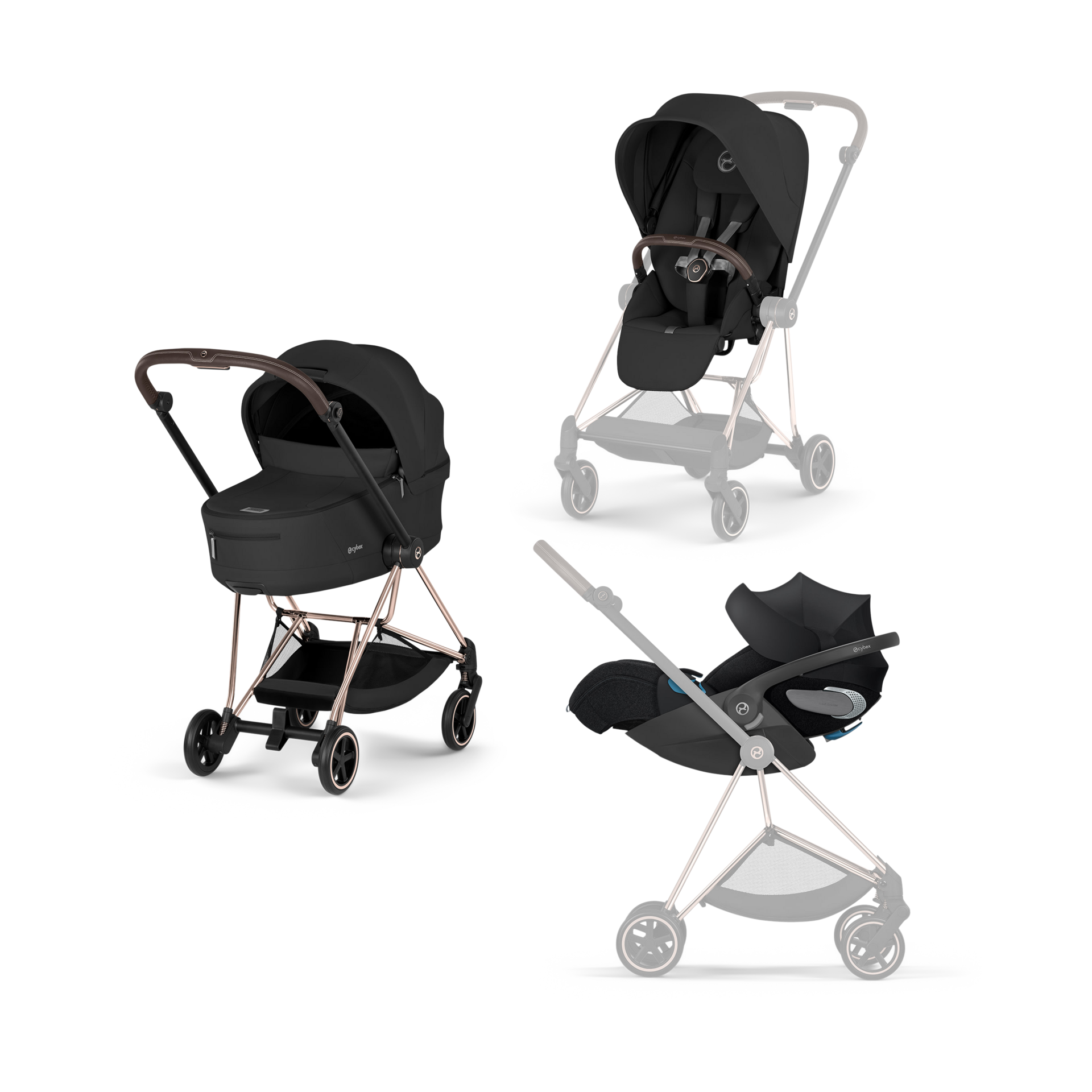 Thumbnail of Sepia Black