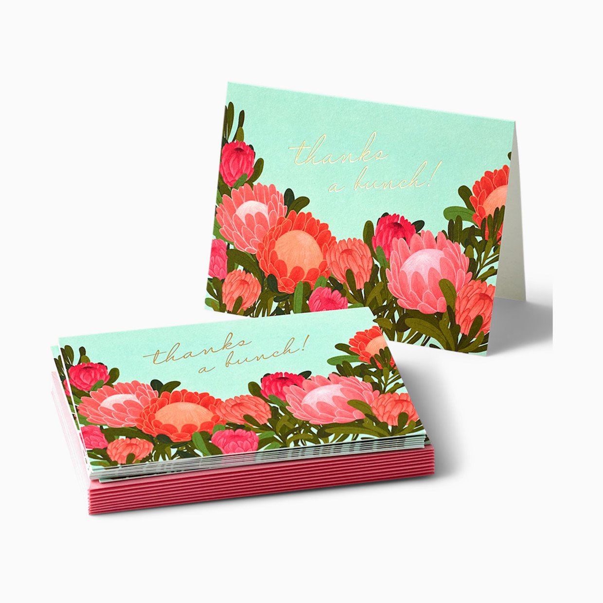 Paper Source Protea Bloom Thank You Card Set (10).