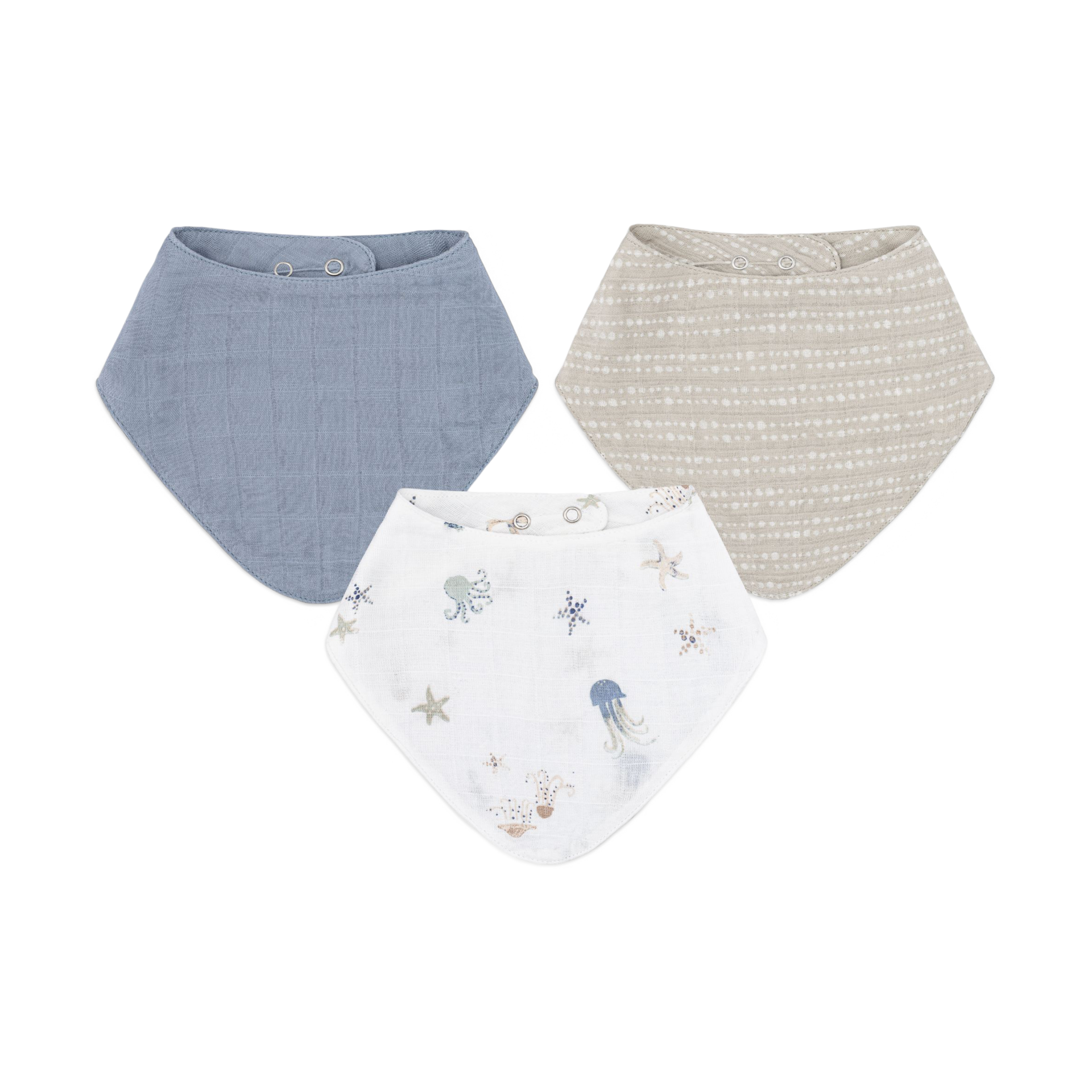 Thumbnail of Cove Sea Life