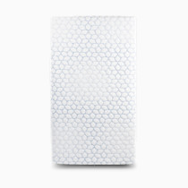 Thumbnail of Blue Leaf