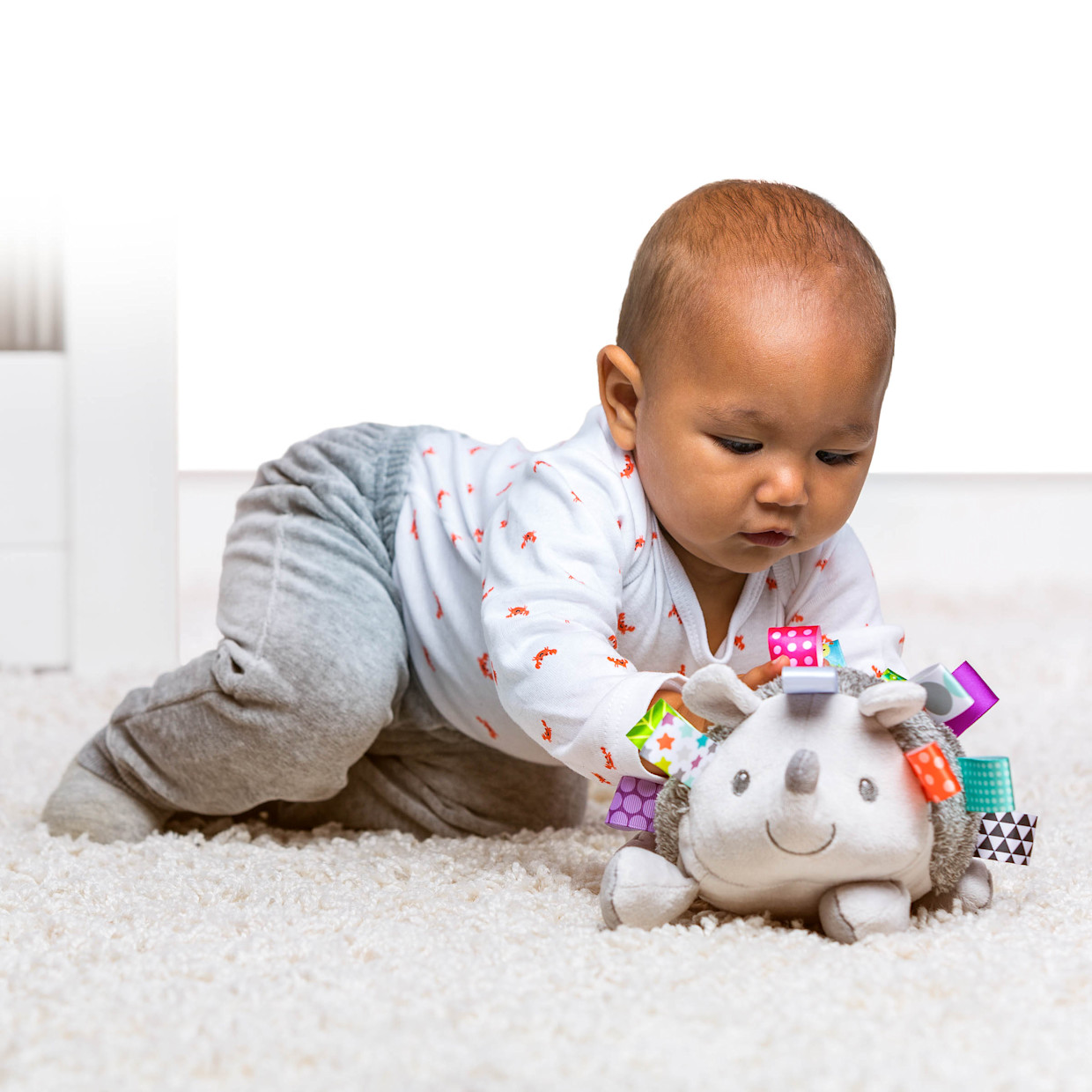 Mary Meyer Taggies Soft Toy - Heather Hedgehog.