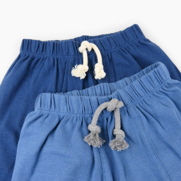 Honest Baby Clothing 2-Pack Organic Cotton Honest Pants - Ombre Blues, Nb.
