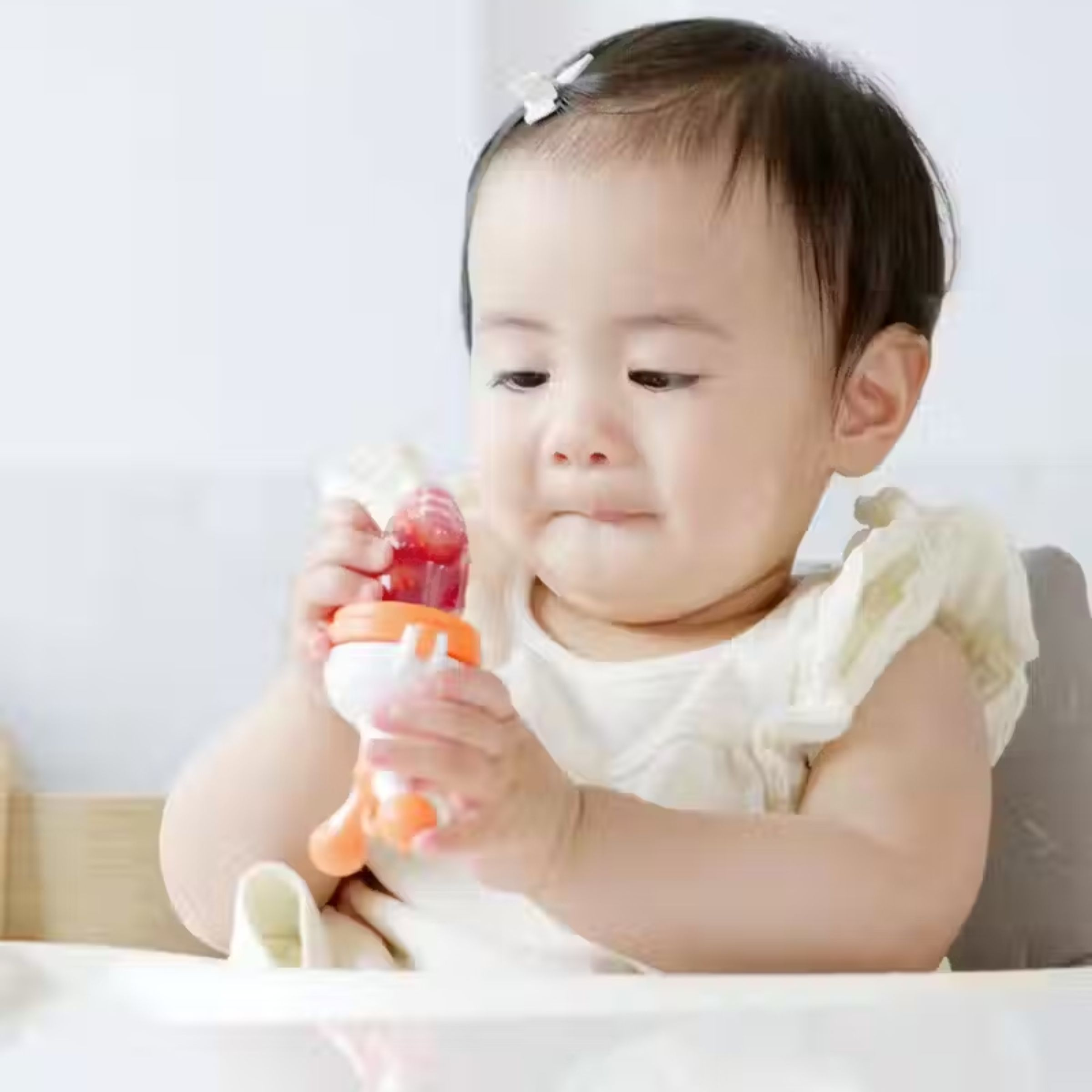 Quark Fruuti Baby Fruit Feeder.