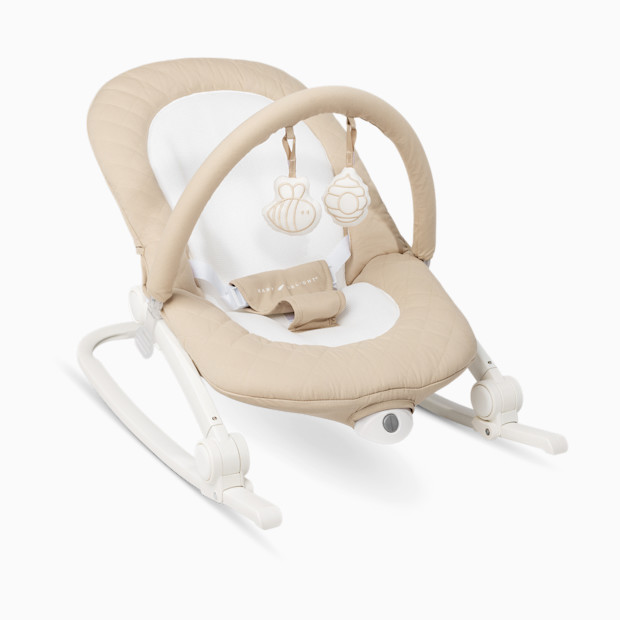 Baby Delight Aura Deluxe Portable Rocker & Seat.