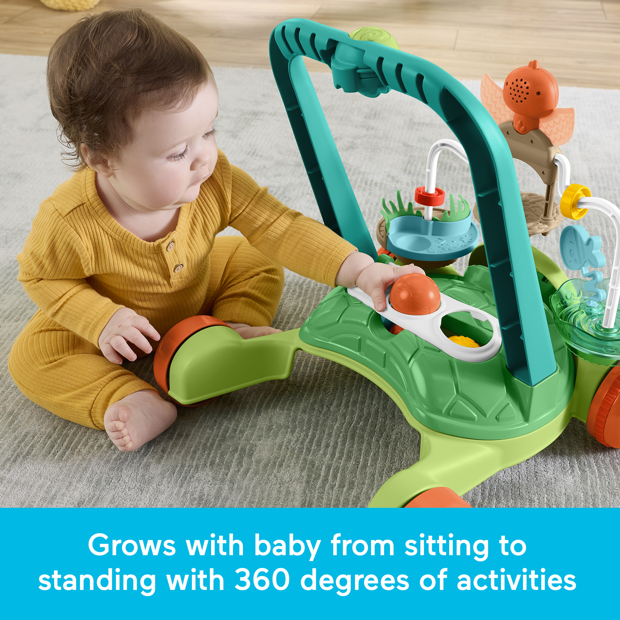 Fisher-Price Moves with You Turtle Walker.