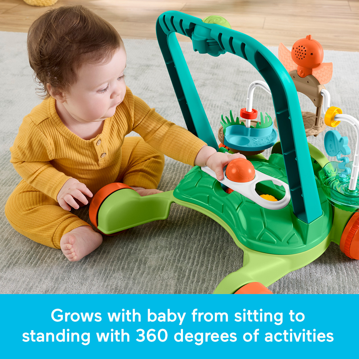 Fisher-Price Moves with You Turtle Walker.