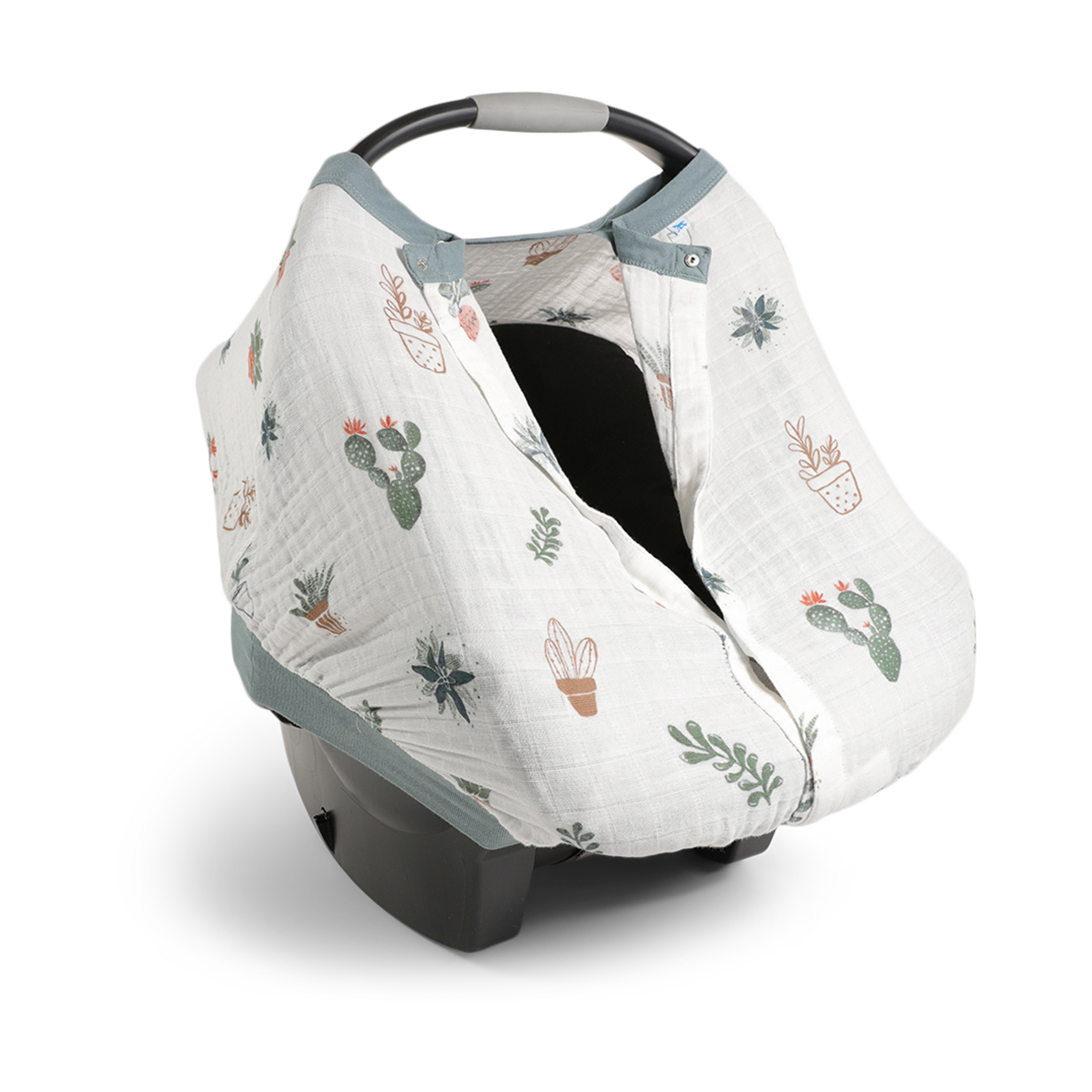 Thumbnail of Prickle Pots