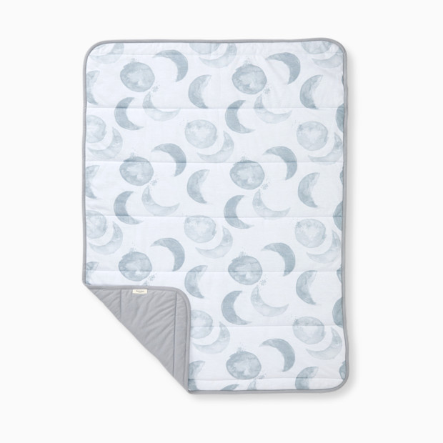 Burt's Bees Baby Reversible Organic Cotton Jersey Knit Blanket.