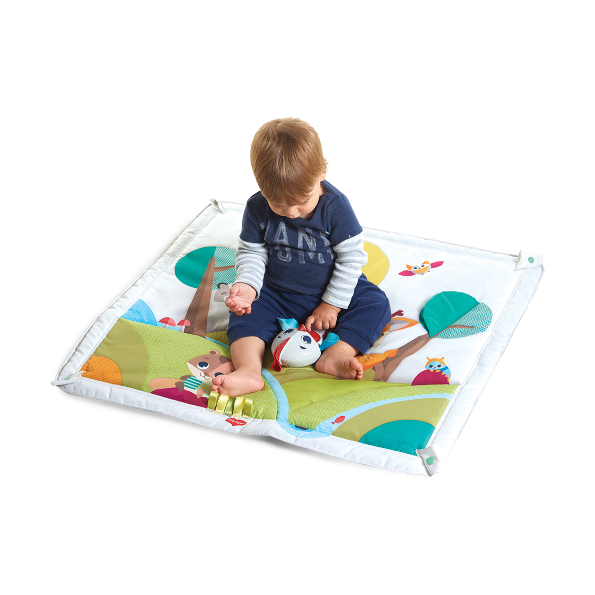 Tiny Love Gymini Deluxe.