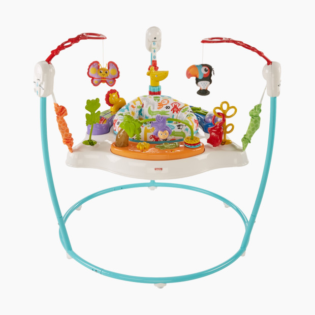 Fisher-Price Animal Activity Jumperoo.