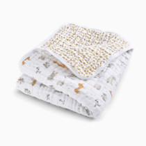 Thumbnail of Giraffe Safari