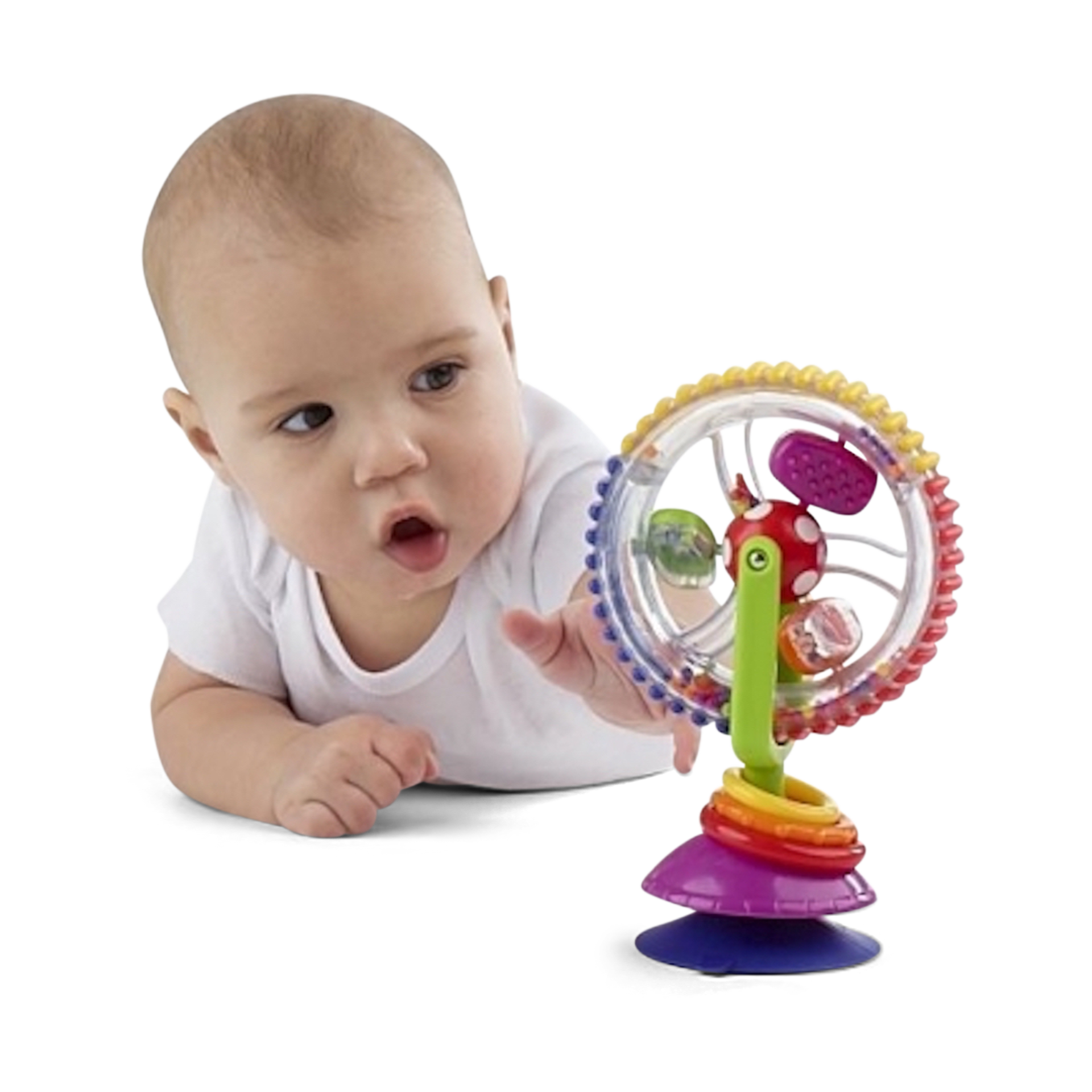 sassy developmental wonder wheel suction toy