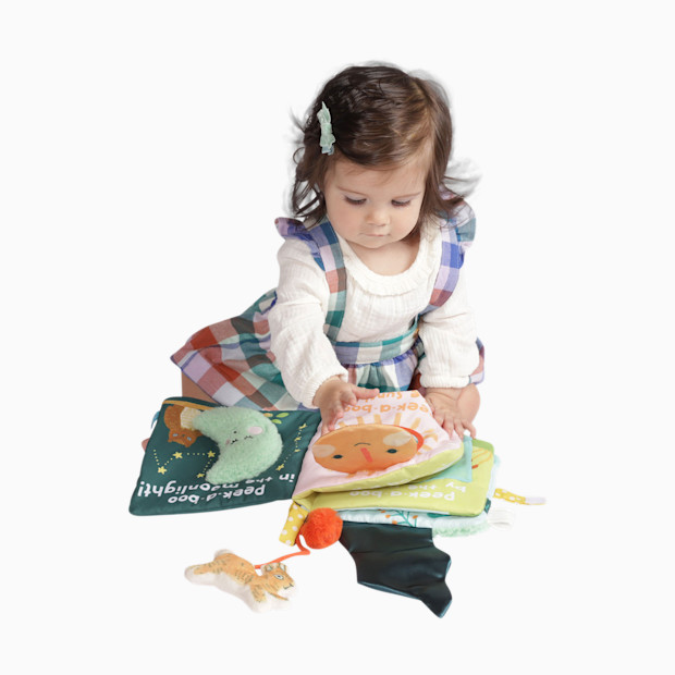 Manhattan Toy Soft Activity Crinkle Book.