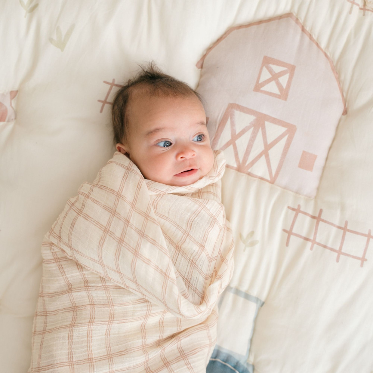 Crane Baby Cotton Muslin Swaddles (2 Pack) - Charlie Goose/Check.
