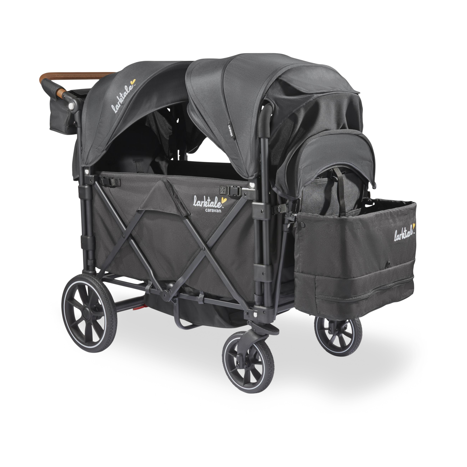 Thumbnail of Byron Black