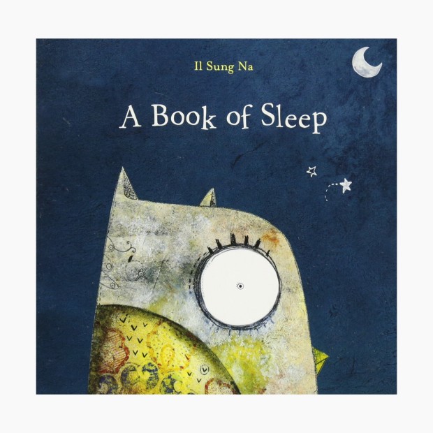 A Book of Sleep.