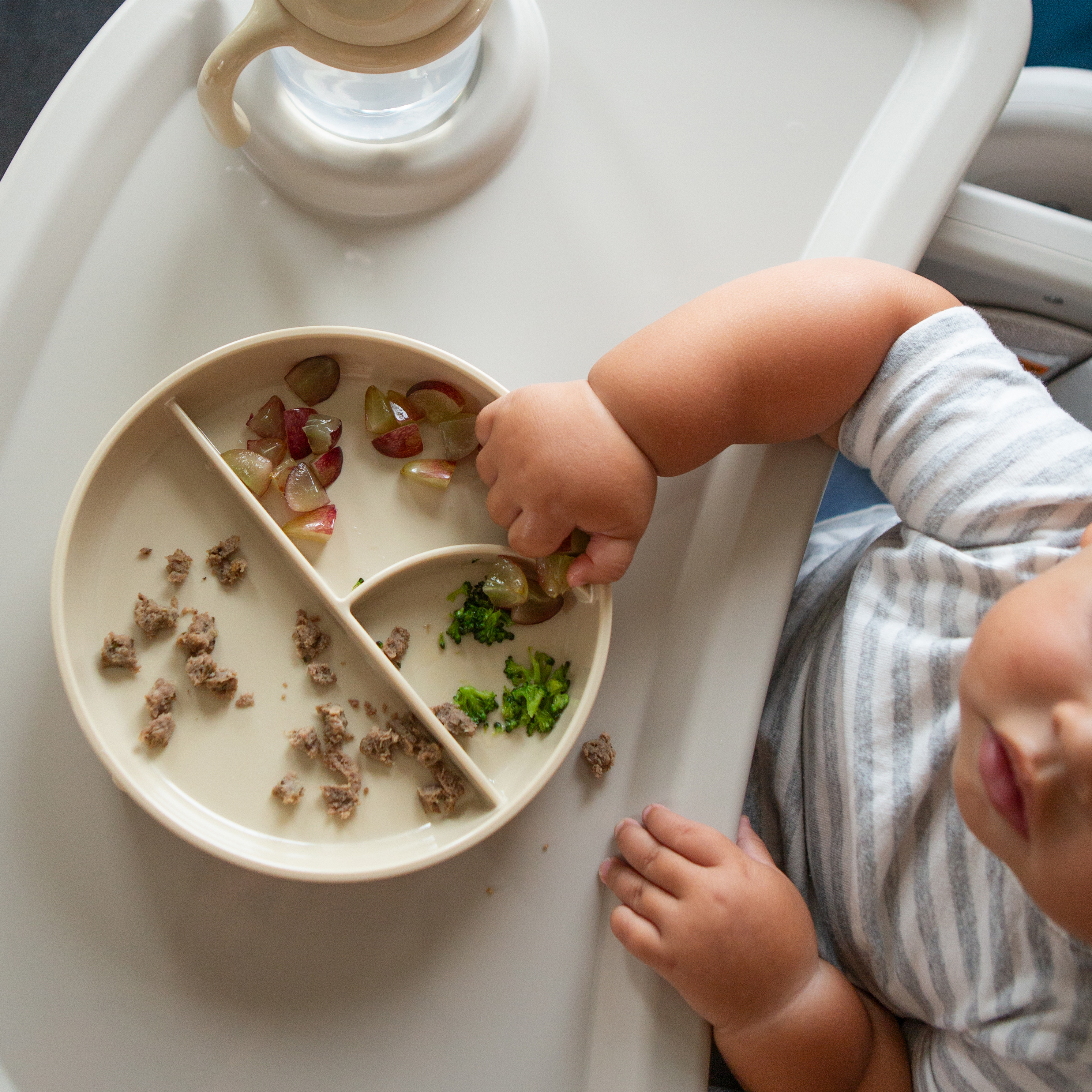Sprucely Suction Plate (2 Pack).