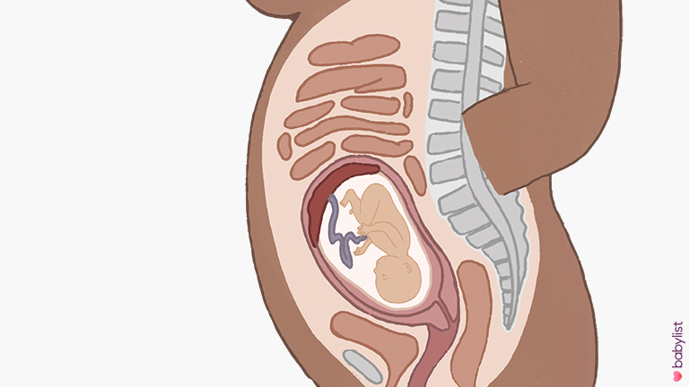 23 Weeks Pregnant  Belly, Symptoms And Baby Position