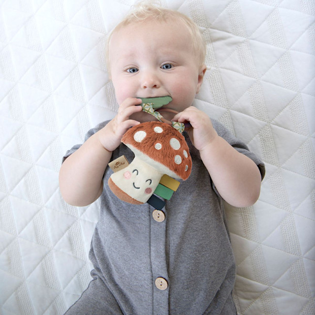 Itzy Ritzy Plush Pal with Silicone Teether.