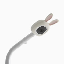 Thumbnail of Blinky Bunny