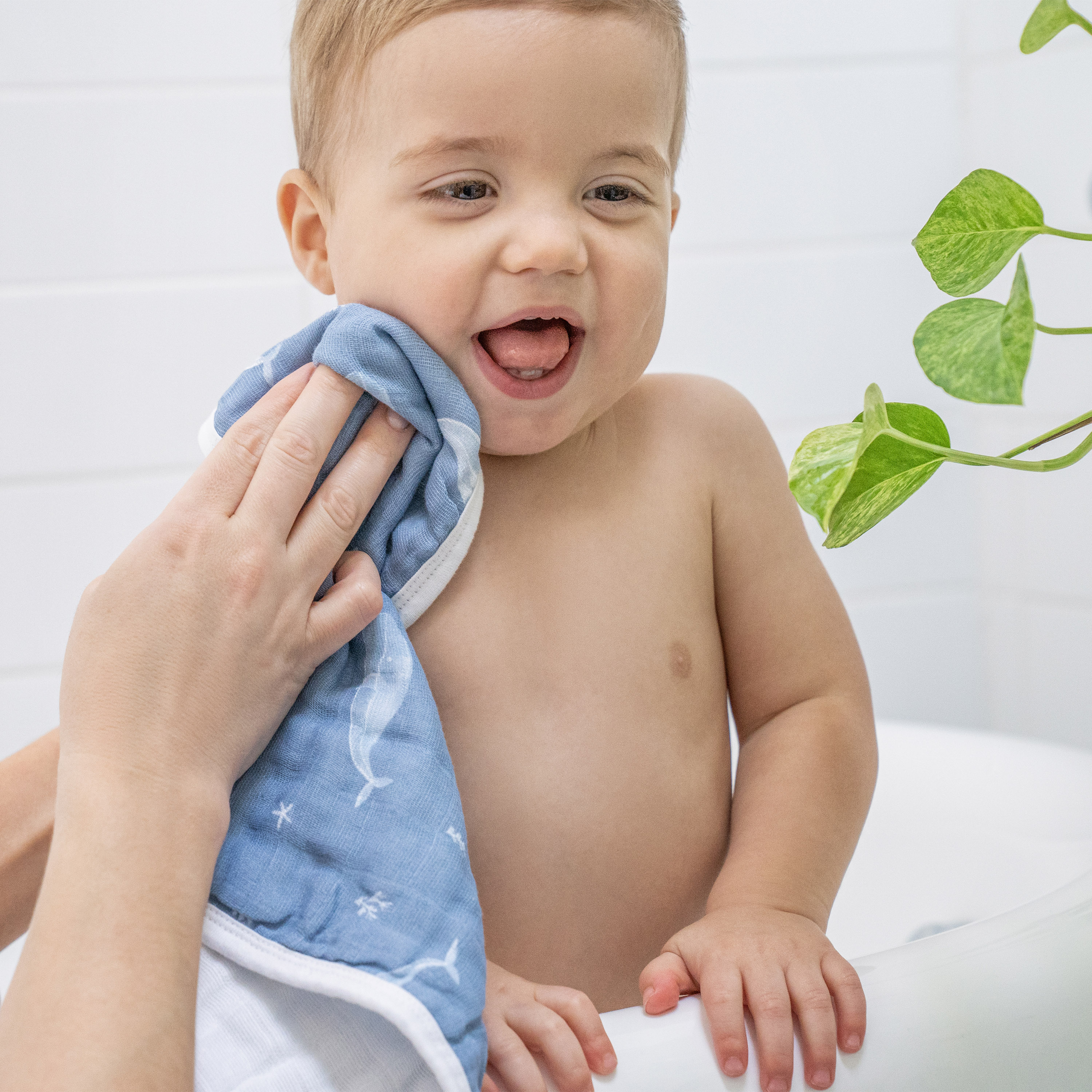 Aden + Anais Organic Washcloth (3 Pack) - Oceanic.