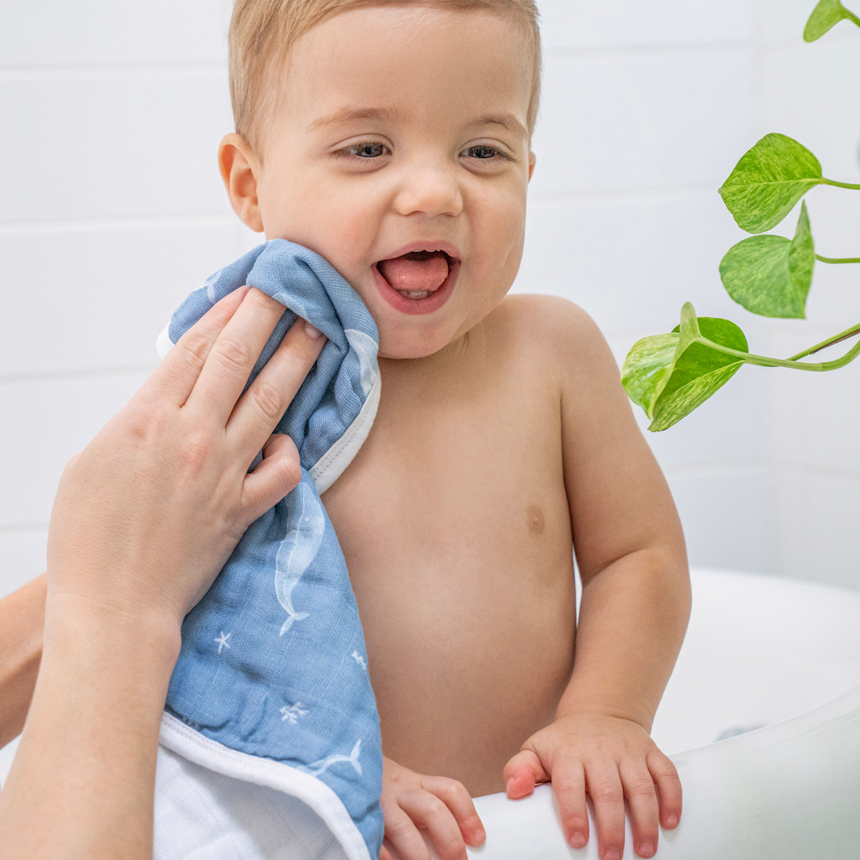 Aden + Anais Organic Washcloth (3 Pack) - Oceanic.