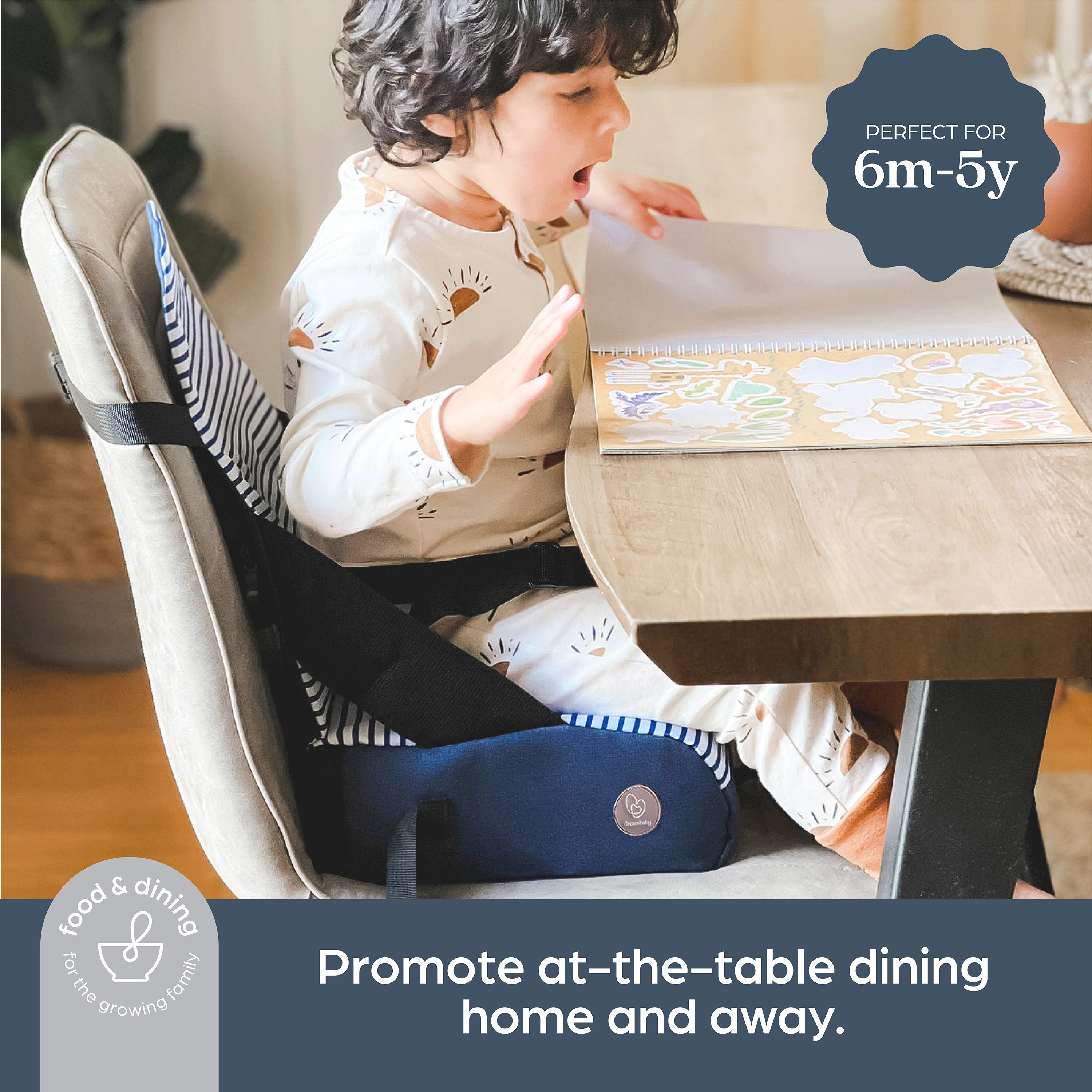 Dreambaby Travel Booster Chair - Blue.