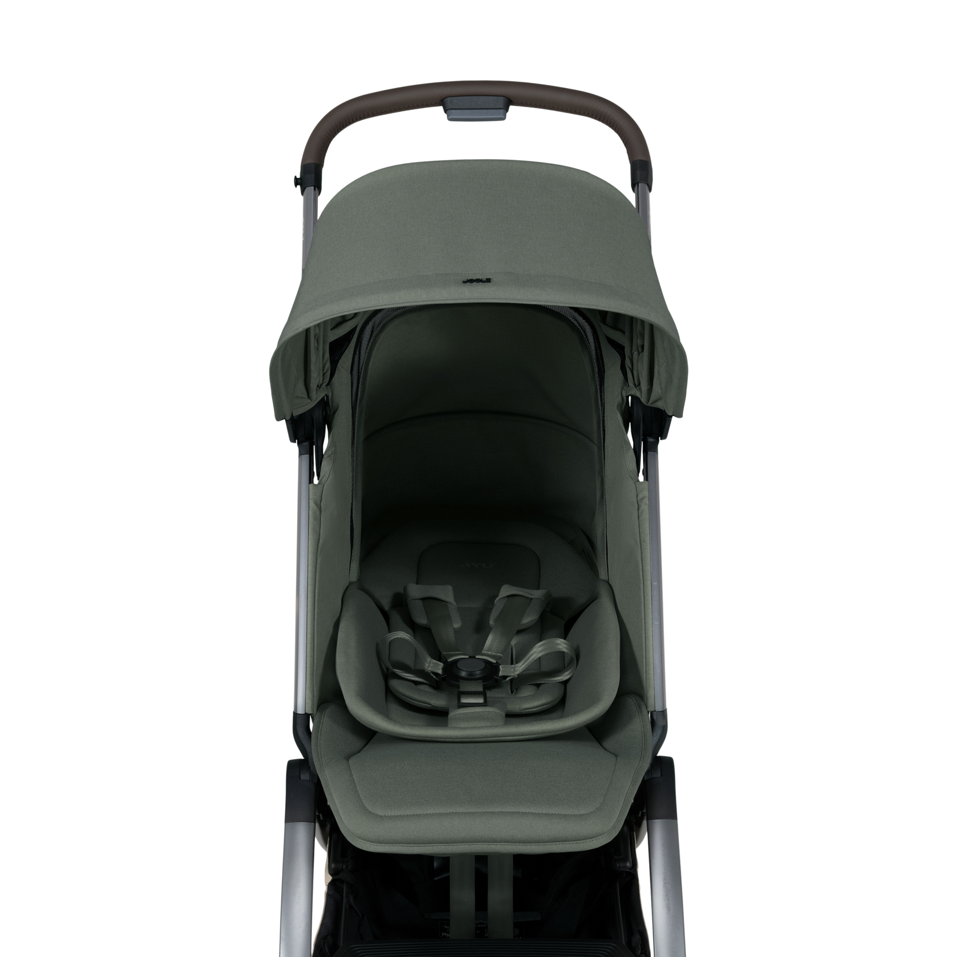 Thumbnail of Forest Green