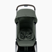 Thumbnail of Forest Green