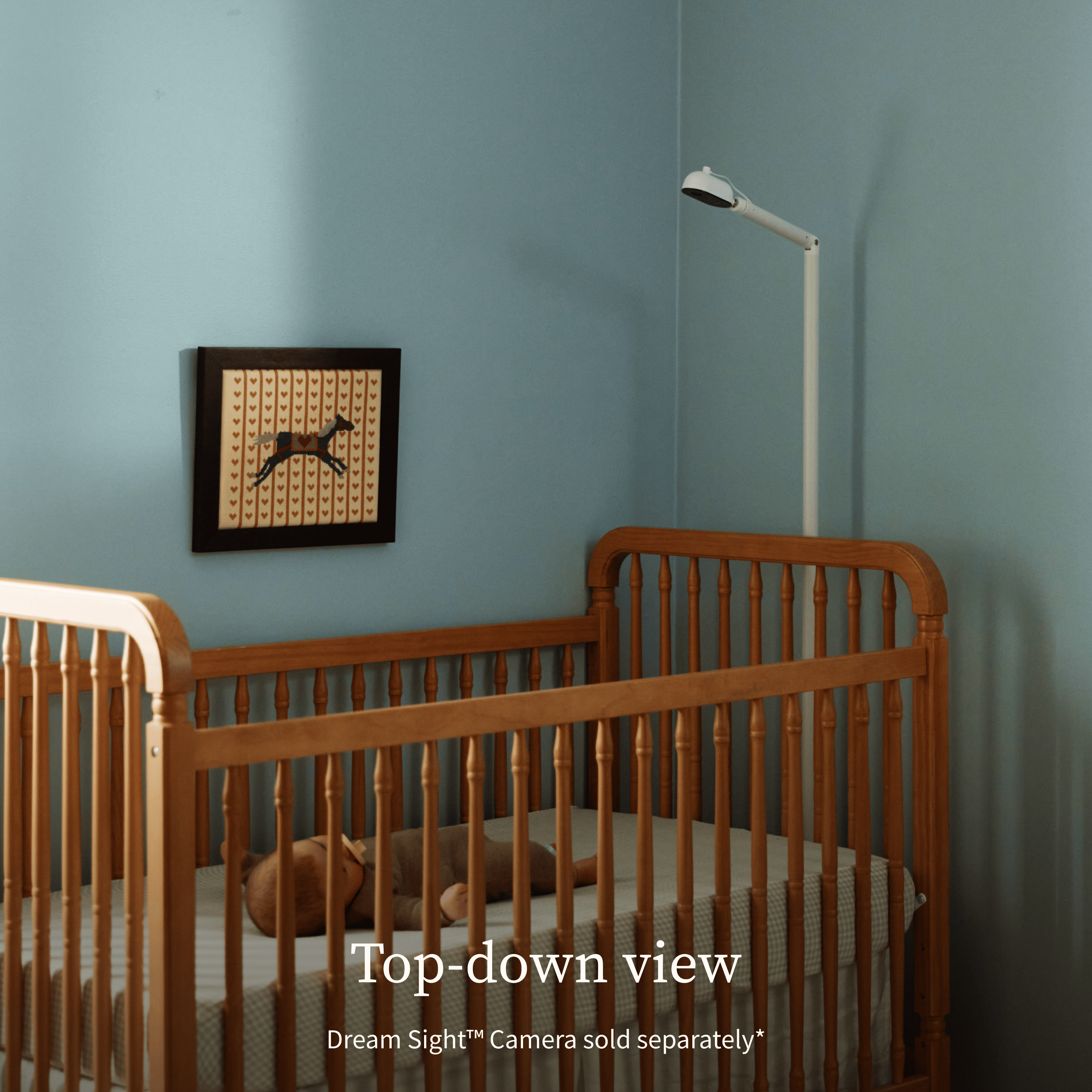 Product Image 3.