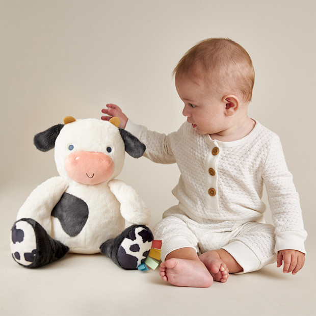 Itzy Ritzy Sweetie Snuggles Plush Toy.