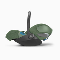 Thumbnail of Leaf Green