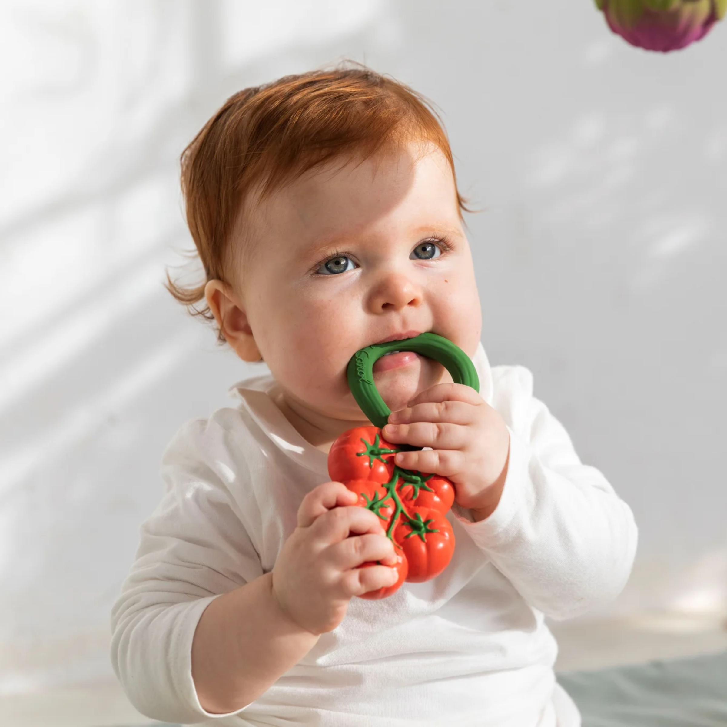 Oli & Carol Rattle - Tomato.