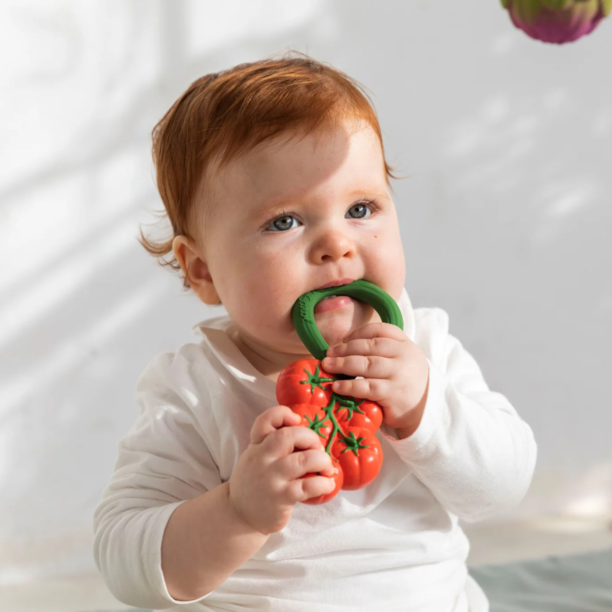 Oli & Carol Rattle - Tomato.