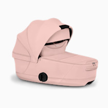 Thumbnail of Peach Pink