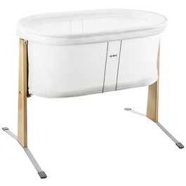 Baby Bjorn Cradle - $449.99.