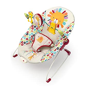 Best baby rocker outlet 2018