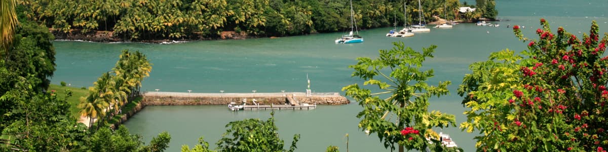 Activity in French Guiana, the salvation island