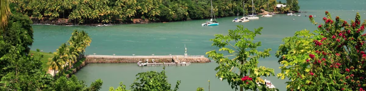 Activity in French Guiana, the salvation island