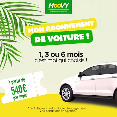moovy, long-term car rental