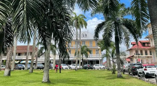 place-des-palmistes-décembre-guyane