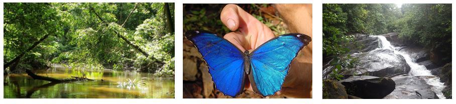 atmosphere-amazonie-europcar