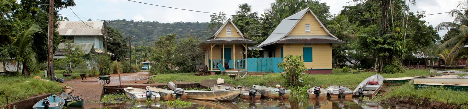 marais de kaw en guyane française