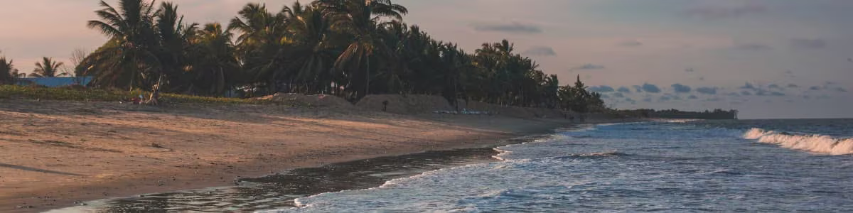 activity in french guiana, the beach