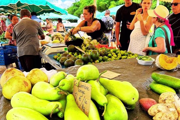 cacao-guyane-village-hmong-marche (6) 600x400