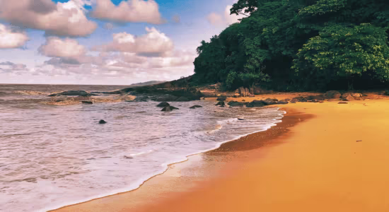 plage-remire-montjoly-guyane
