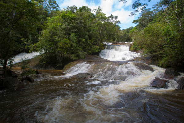 chutes voltaire saint laurent du maroni 600x400